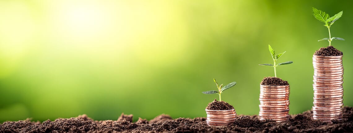 Lokata terminowa w walucie wymienialnej