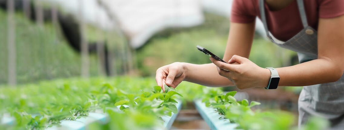 Rachunek rozliczeniowy w walutach wymienialnych